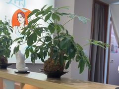 -长风拨筋养身(金虹桥店)