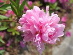 外景-上海怡沁园度假酒店