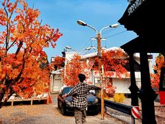 -Blue Concept Cafe&Farm·關於藍