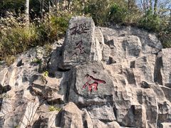 -大围山国家森林公园