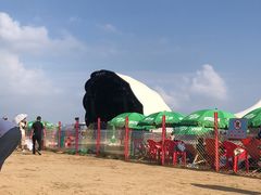 -碧海金沙