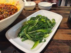 -陈麻婆豆腐(旗舰店)