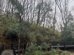 -白马涧龙池景区