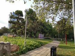 -名树园