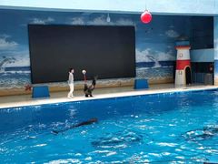 -锦艺城海洋馆