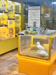 -神奇动物撸宠馆·羊驼·小浣熊·异宠(豫园店)