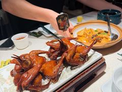 -大鸽饭(动物园店)