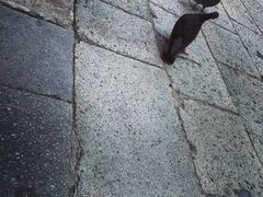 -圣马尔谷圣殿宗主教座堂