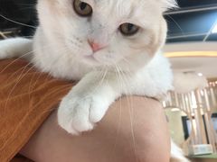 -猫和宫(六道口店)
