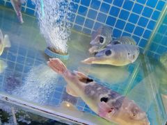 -老常州菜馆(天宁店)