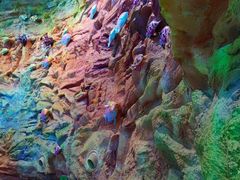 -青岛嘉年华主题乐园