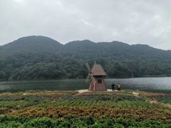 -广州市石门国家森林公园
