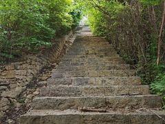 -佛慧山