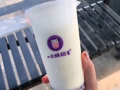 -一只酸奶牛(益州国际店)