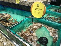 -初色海鲜自助(万丰路店)