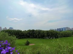 -长白岛森林公园