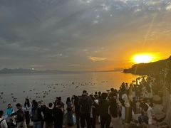 -深圳四季酒店·馥自助餐厅