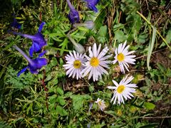 -白草畔自然风景区