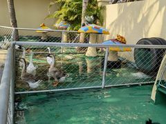 -三亚亚龙湾天域度假酒店