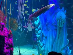 -沈阳海洋探索中心