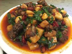 饵块鸡-红豆园(文林街店)