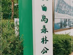 -长白岛森林公园