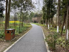 -桤木河湿地公园