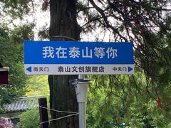 -泰山风景名胜区