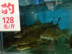 -高坎一品甲鱼庄(两河店)