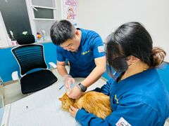 -康爱犬猫诊所·牙专科·骨外科·影像内科(丰宁店)