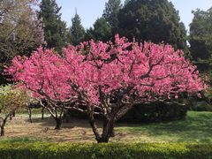 -团结湖公园