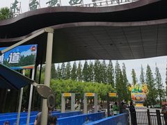 -黄海国家森林公园