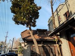 -上海孙中山故居纪念馆