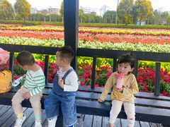 -广东花都香草世界旅游度假区