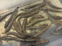 -健眺小海鲜(临海后山店)