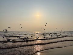 -老虎石海上公园