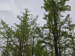 -黄兴公园