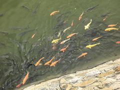 -桑干河大峡谷旅游区