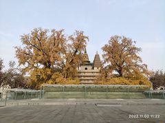 -北京石刻艺术博物馆(五塔寺)