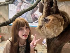 -正佳雨林生态植物园