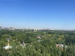 -辛玛王国游乐园