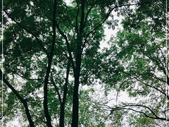 -年记·兴顺斋 牛街清真熟食小吃店