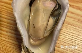 Original Flavor Steamed Oyster in Pressure Cooker