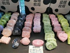 -瑞穗牧场