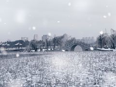 -长春市南湖公园