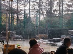 -上海野生动物园老虎餐厅