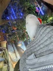 -酷嗒动物文化乐园(cutezoo西溪乐天城店)