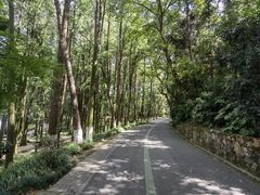 -巴陵广场