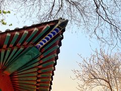 -桃花堤公园
