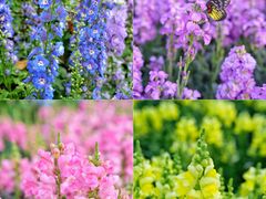 -广州市白云山风景名胜区